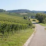 Gaestehaus Winzerhof Am Schlierbach Lejlighed *