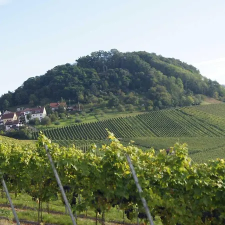 Gaestehaus Winzerhof Am Schlierbach