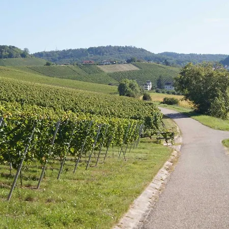 Gaestehaus Winzerhof Am Schlierbach דירה *